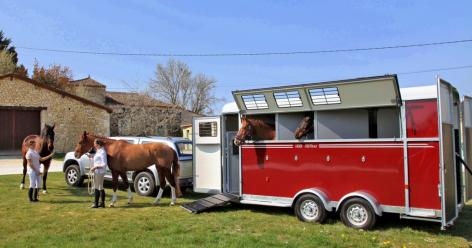 van chevaux 4 places occasion