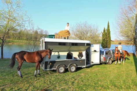 Vente van à chevaux diagonal