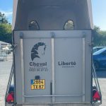 CHEVAL LIBERTE 2 PLACES GRIS ET BLANC